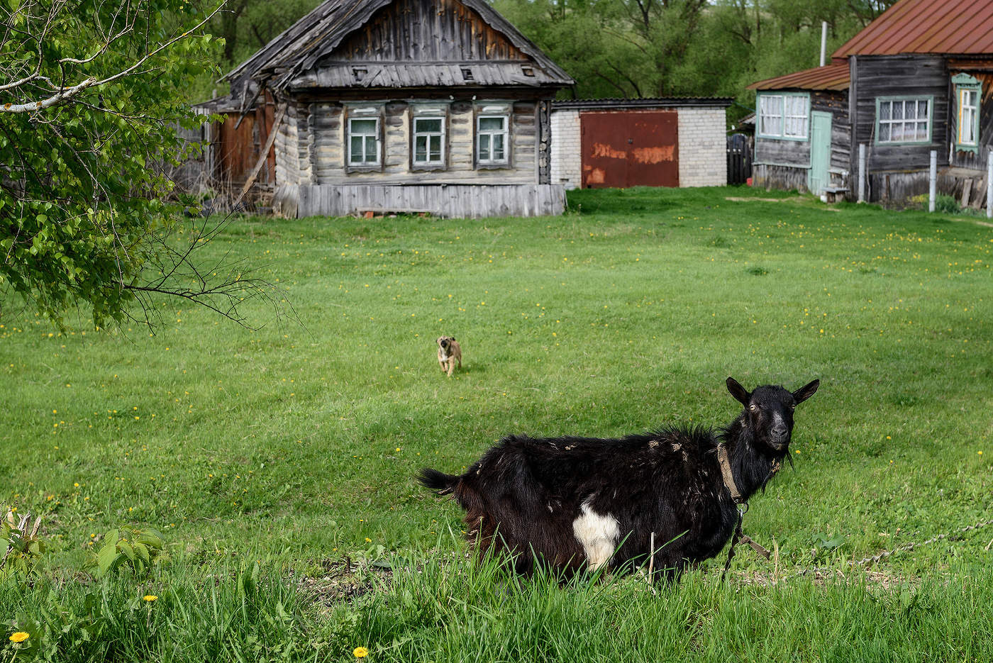 Спешит на помощь...