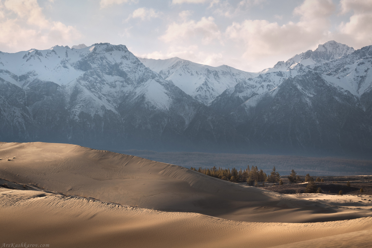 "Сибирские пески"