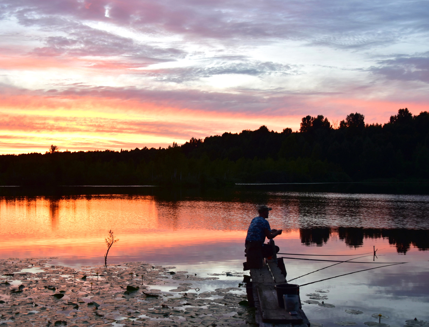На вечерней зорьке