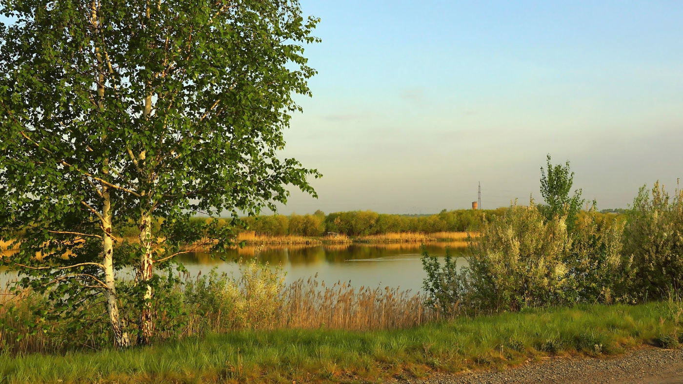 Утро на маленьком озере