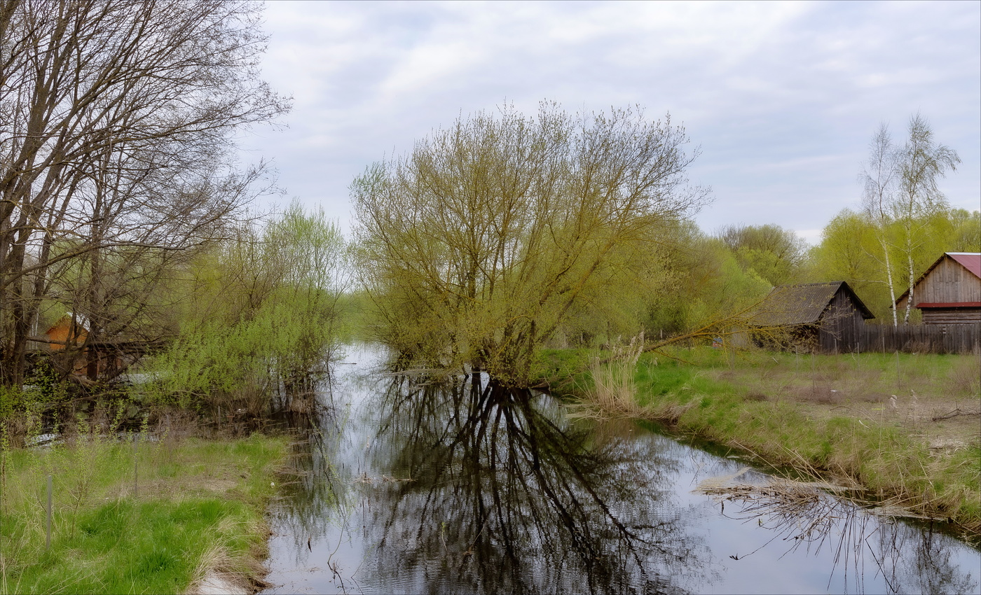 ТИХАЯ ГАВАНЬ