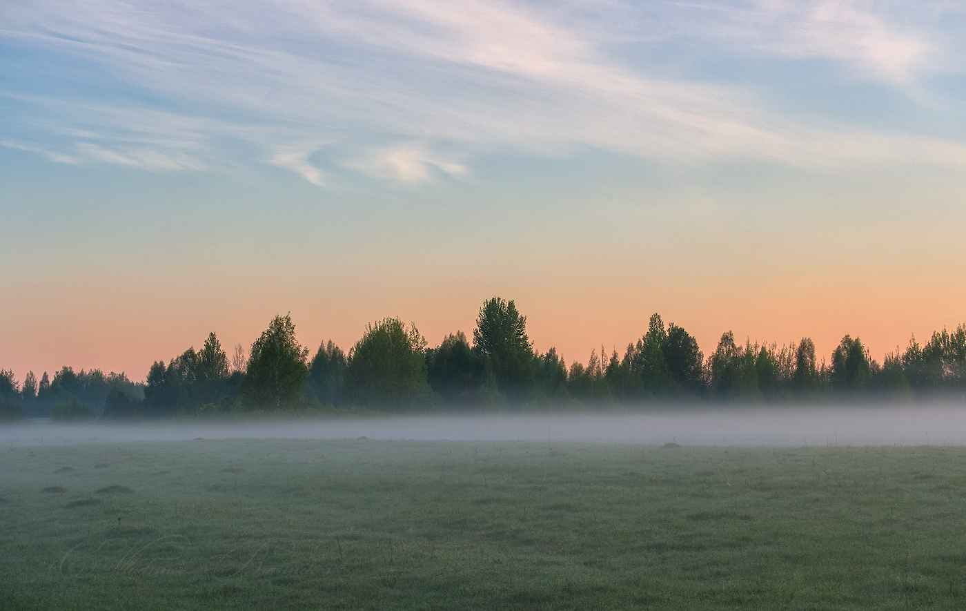 Симфония тумана