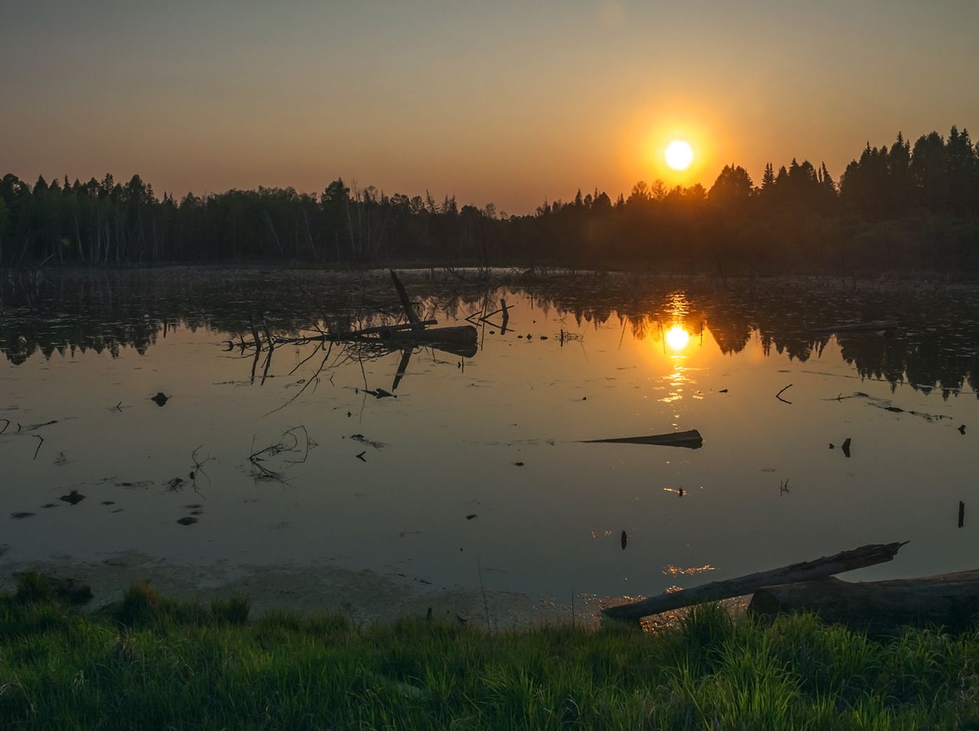 Вечер на болоте