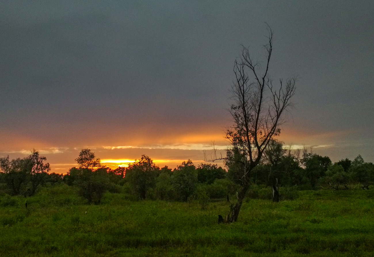 День уходящий...