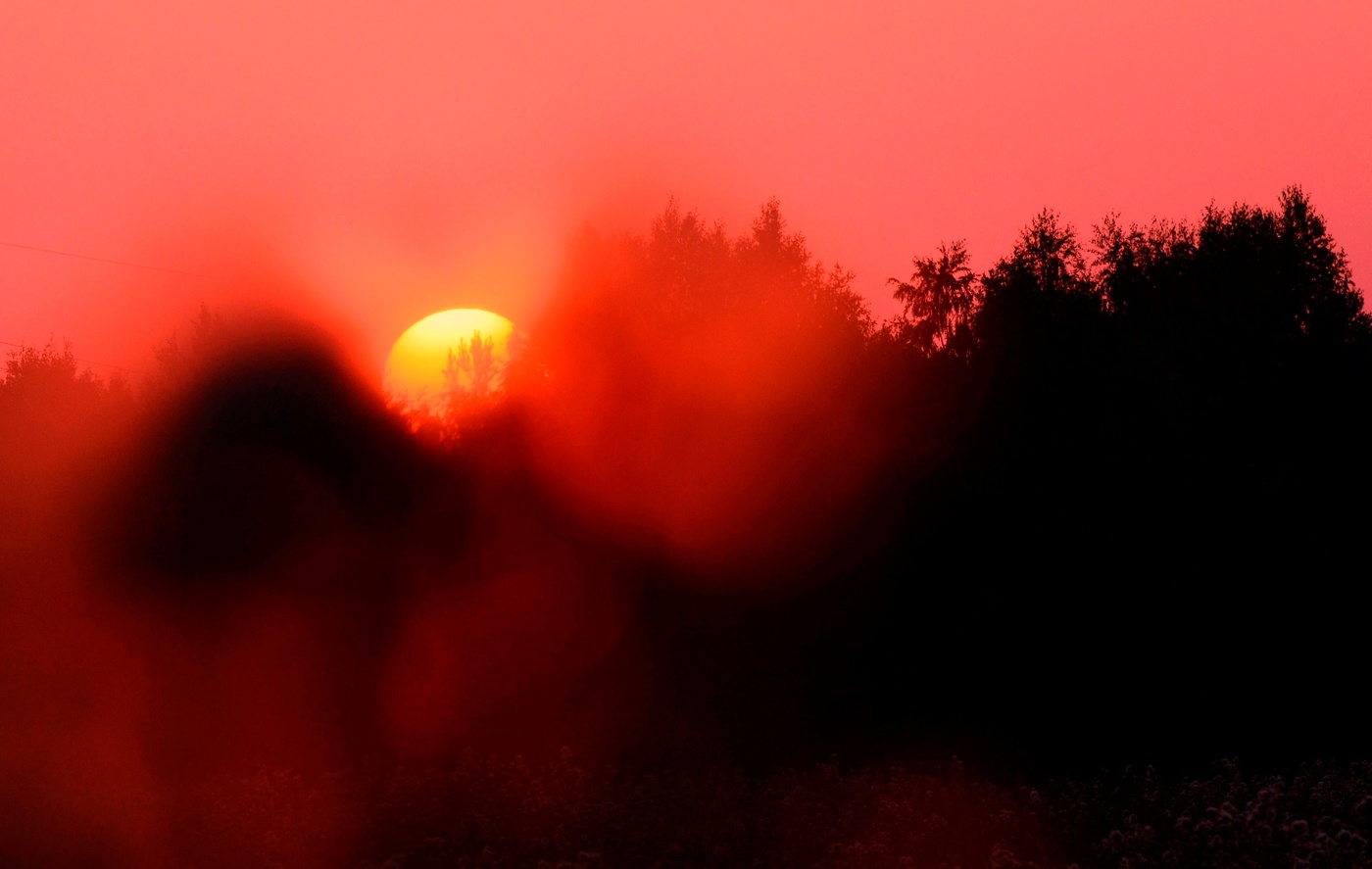 "Закат, кровавою зарей, у горизонта трогал лес..."