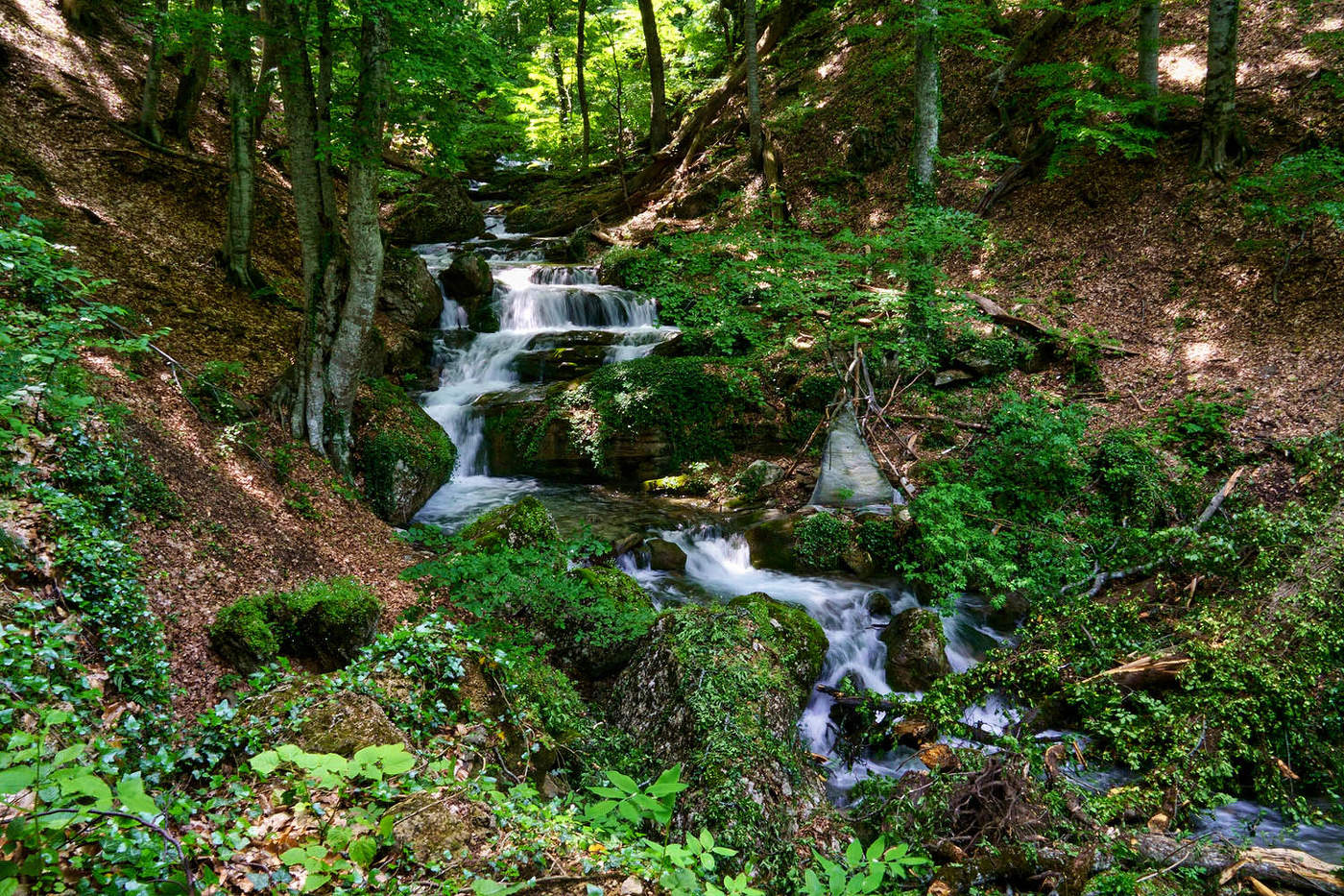 В урочище Хап-Хал