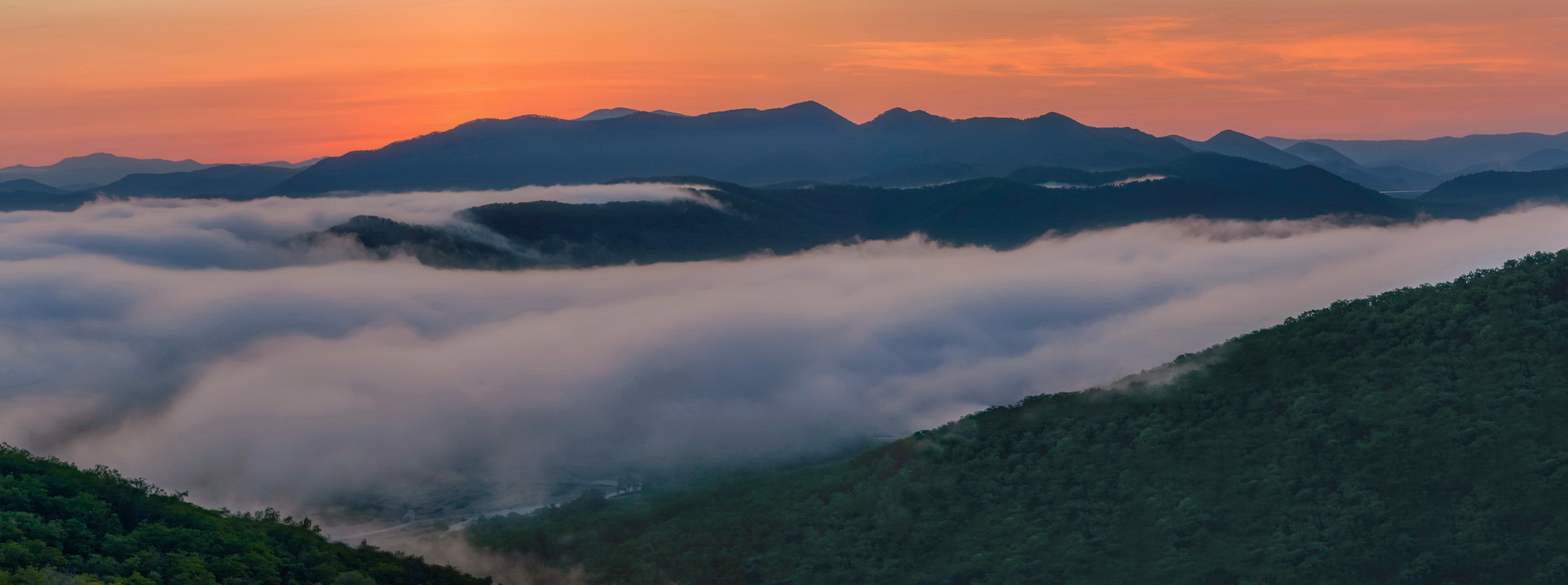 Туманный летний вечер