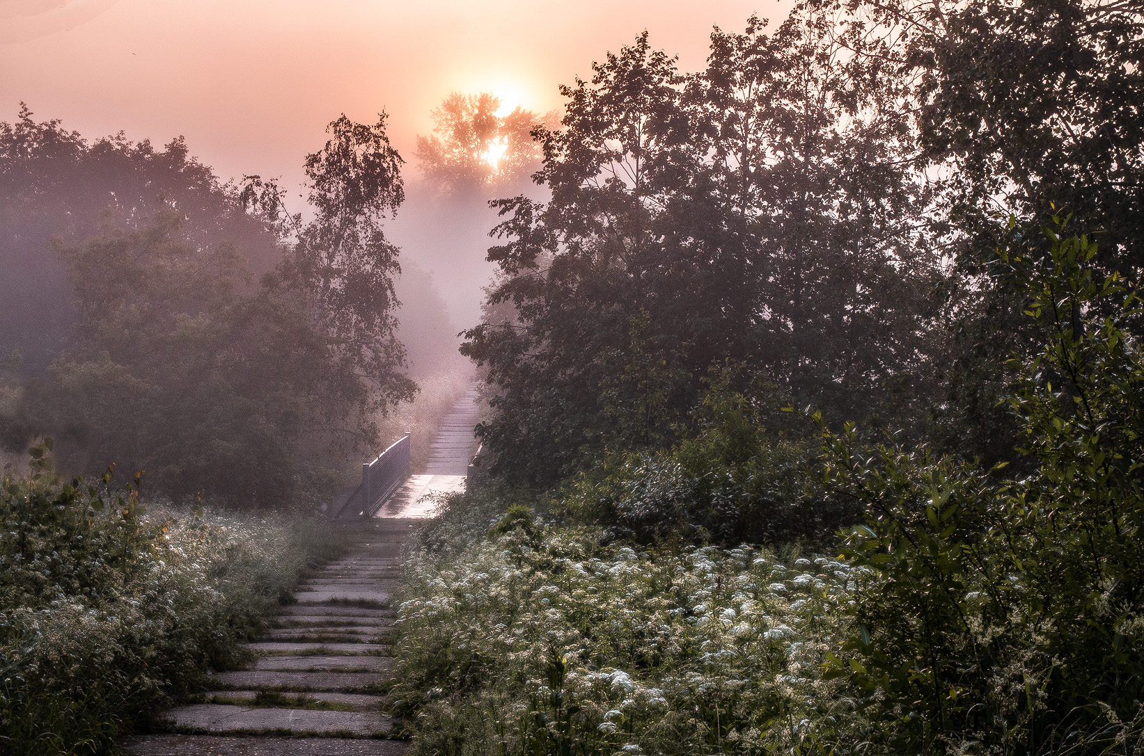สะพานในสายหมอก