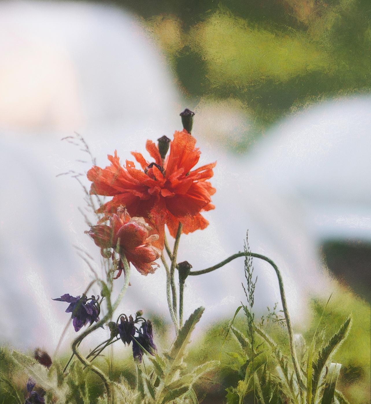 Аллегории (4).