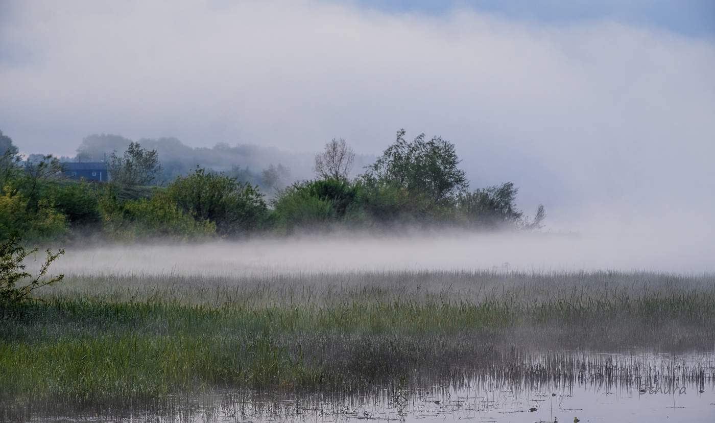 Утренний туман.