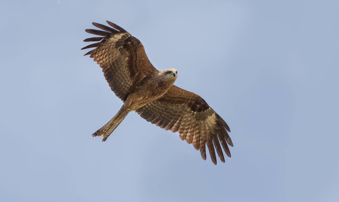 Улыбочку фотографу!