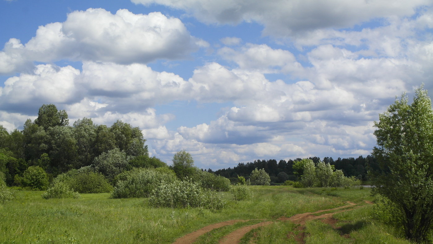 Просто лето.