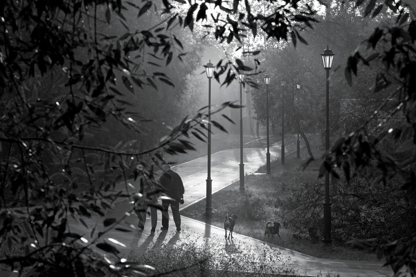 утренние прогулки