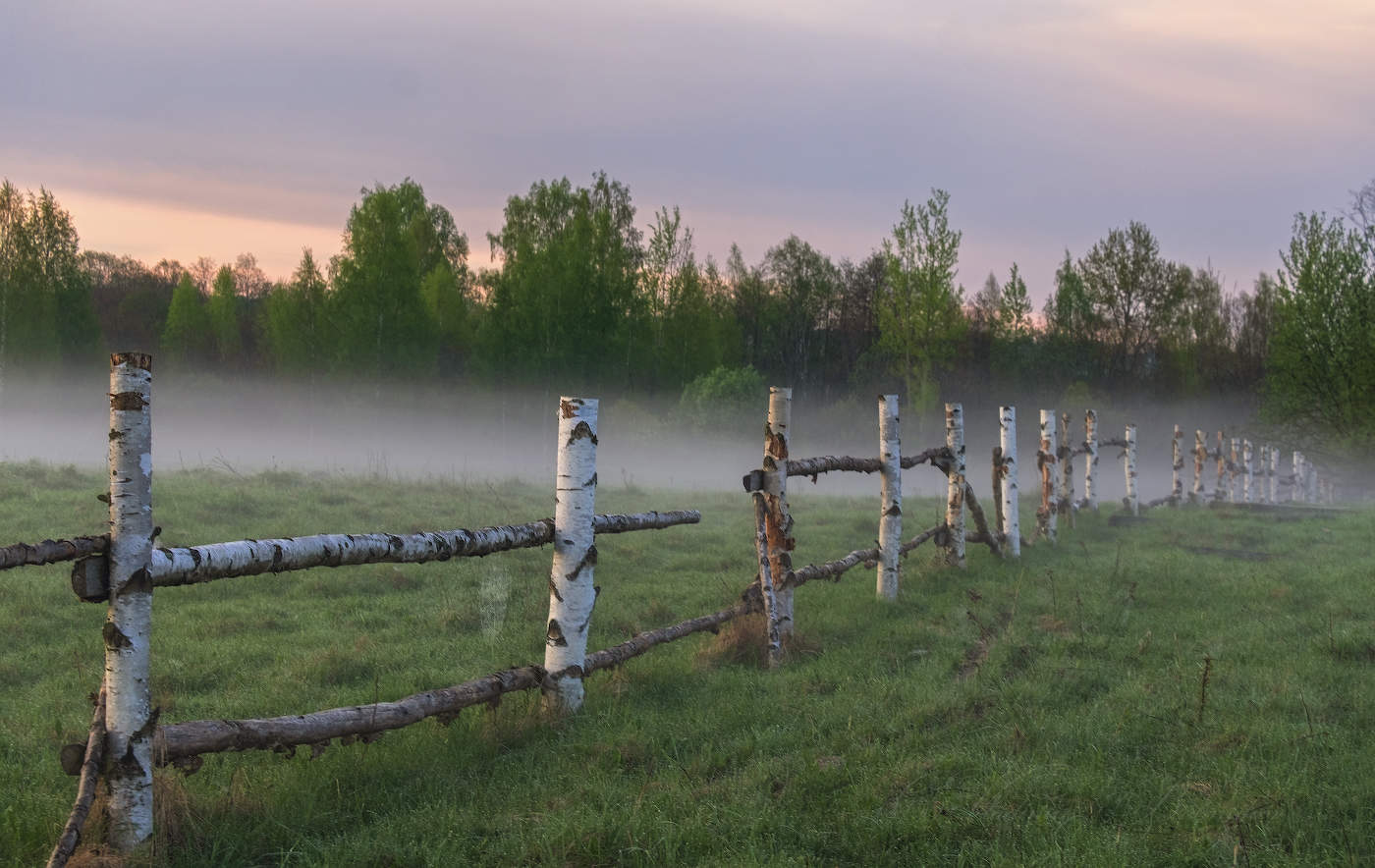 А за забором туман...