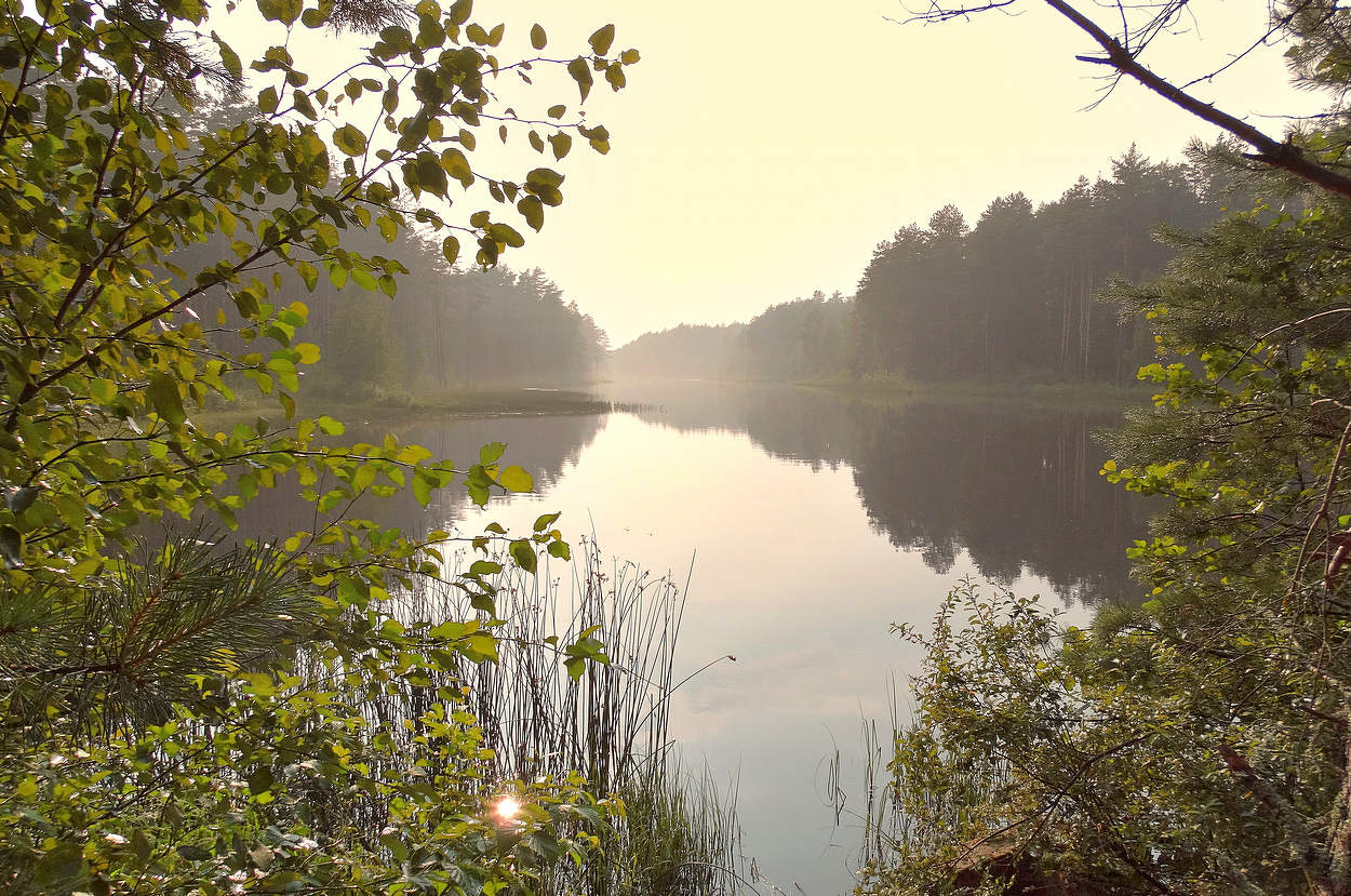 Туман и солнце после дождя