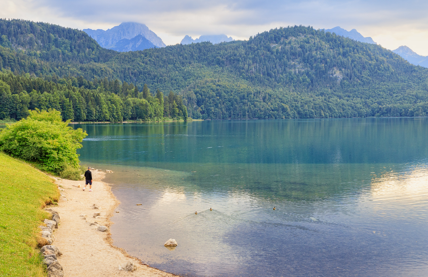 Альпийское озеро (Alpsee)