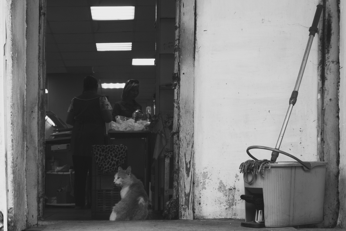 Служебный вход