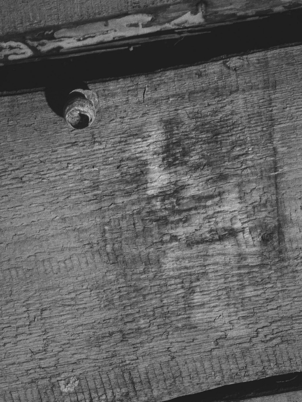 Жизнь вокруг