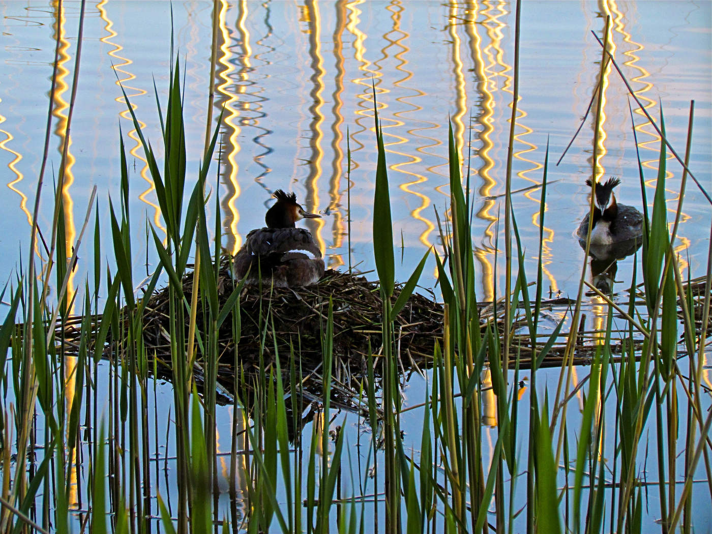 В ожидании...
