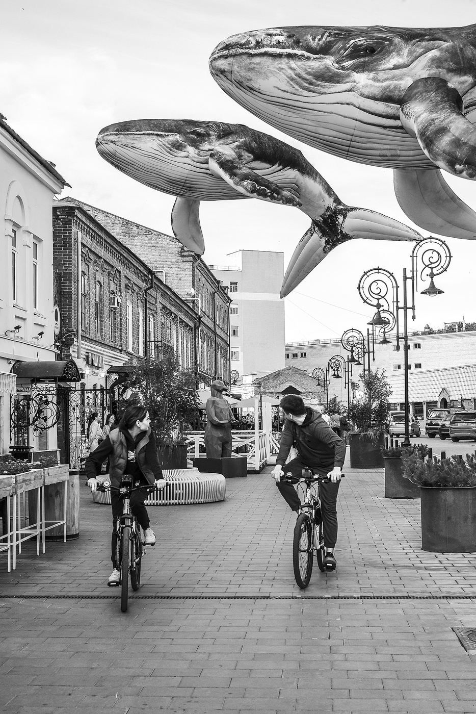 Киты приплыли...