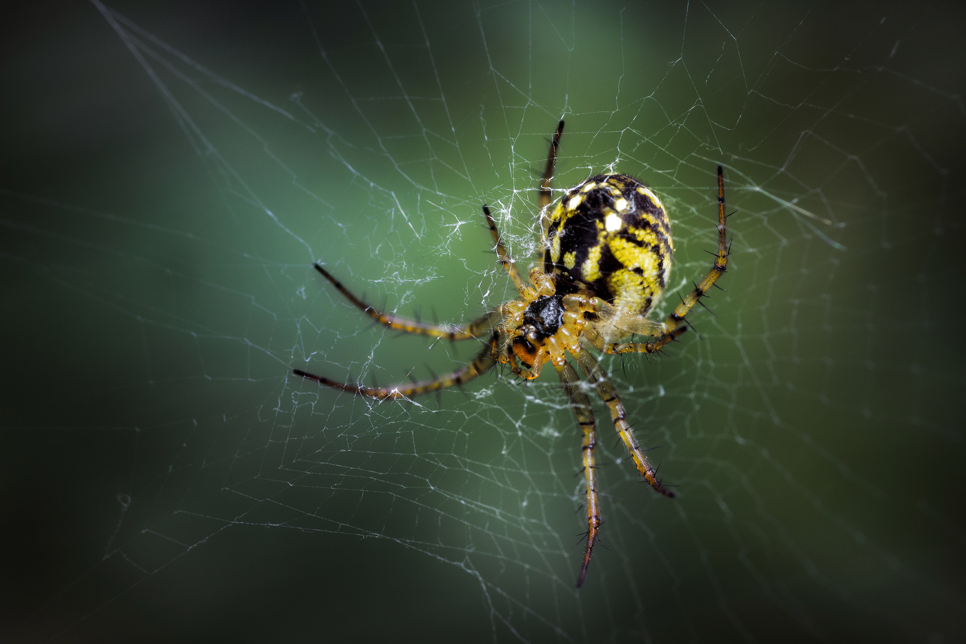 Да, нужен ремонт...