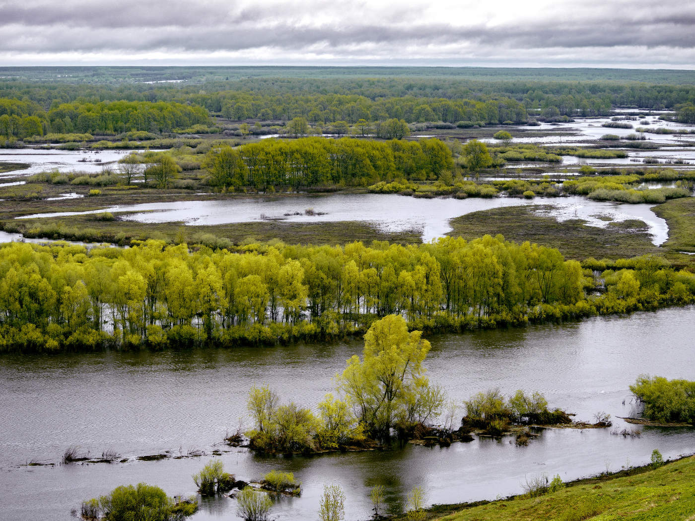 Пейзажи пасмурного дня