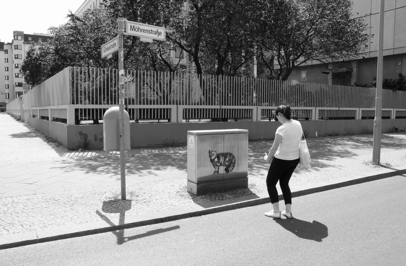 Котик [бомжёграфический]