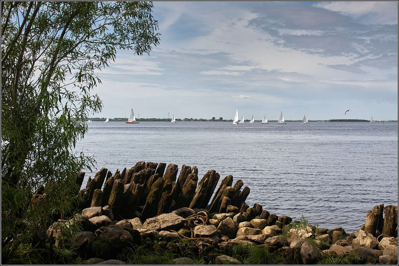 Паруса России.