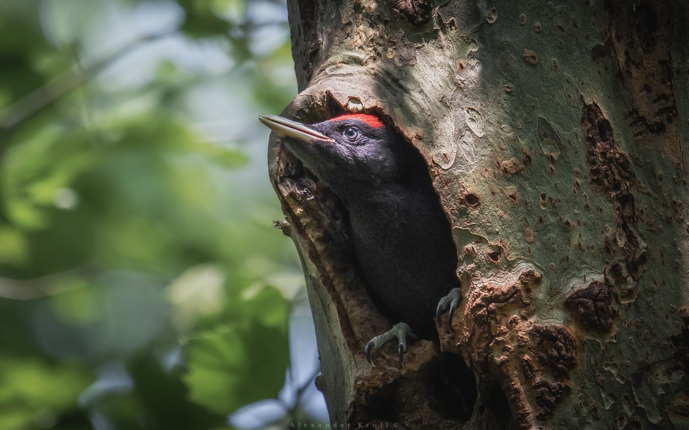 На пороге большого Мира