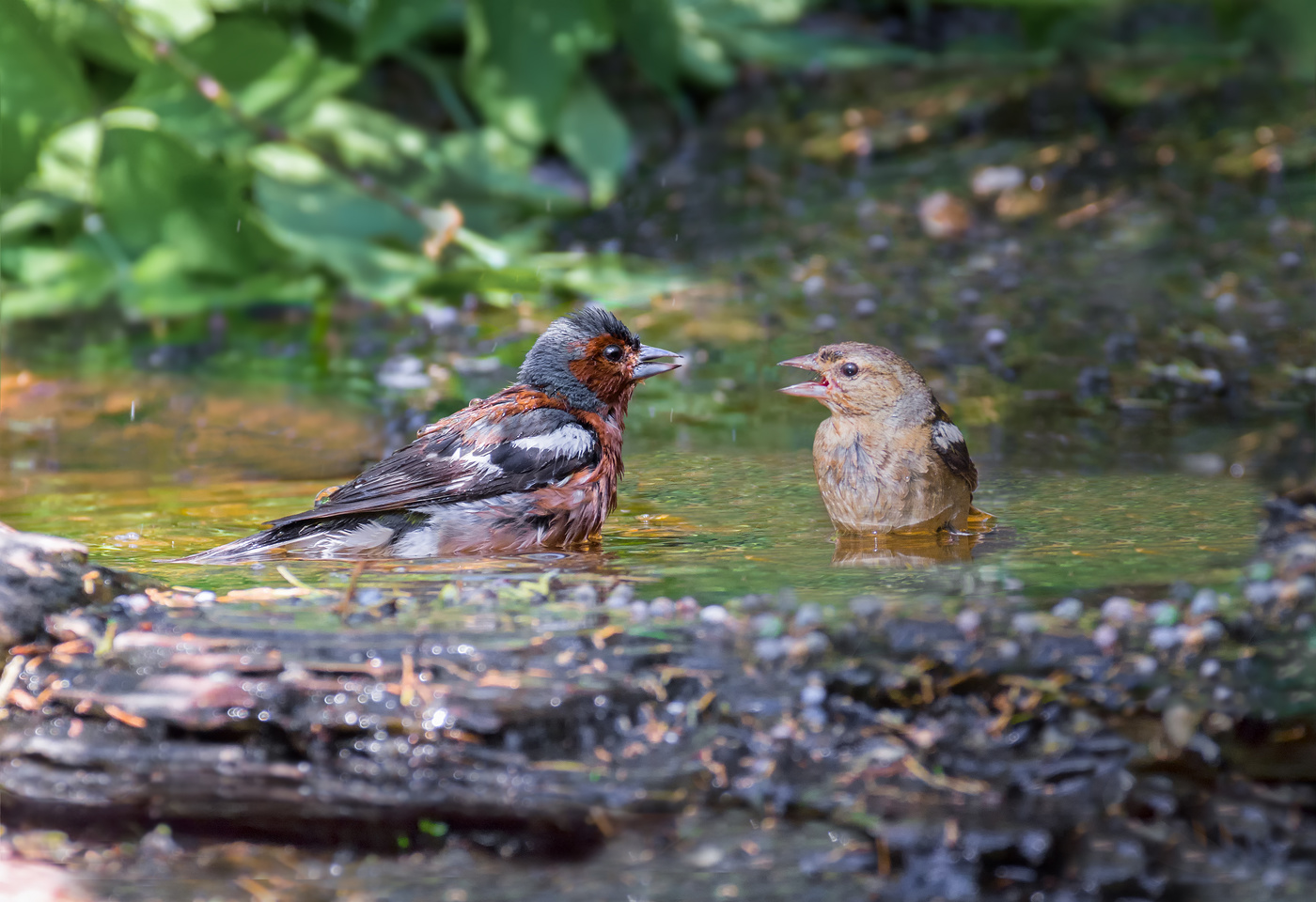 ванна на двоих..