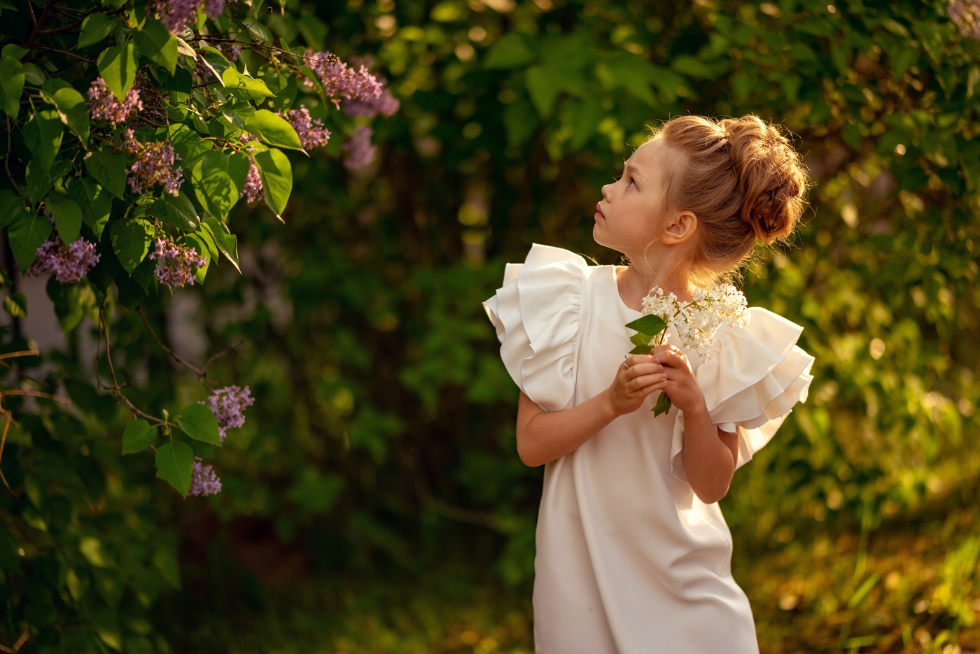 Взгляд на сирень