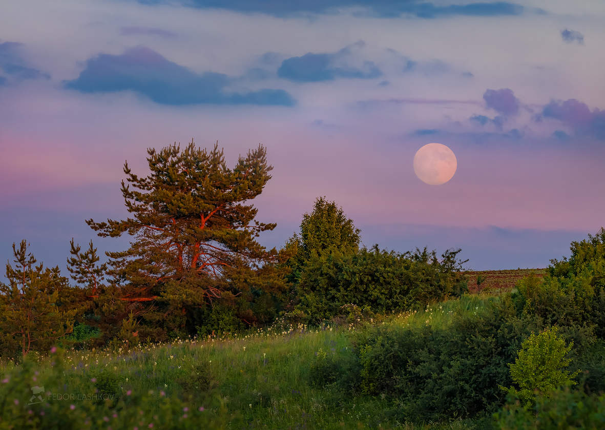 Луна на закате