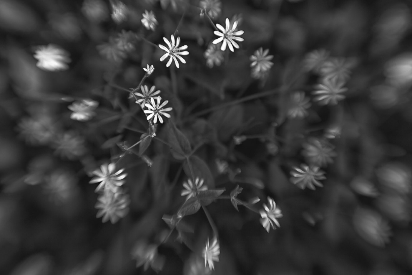 Жизнь вокруг