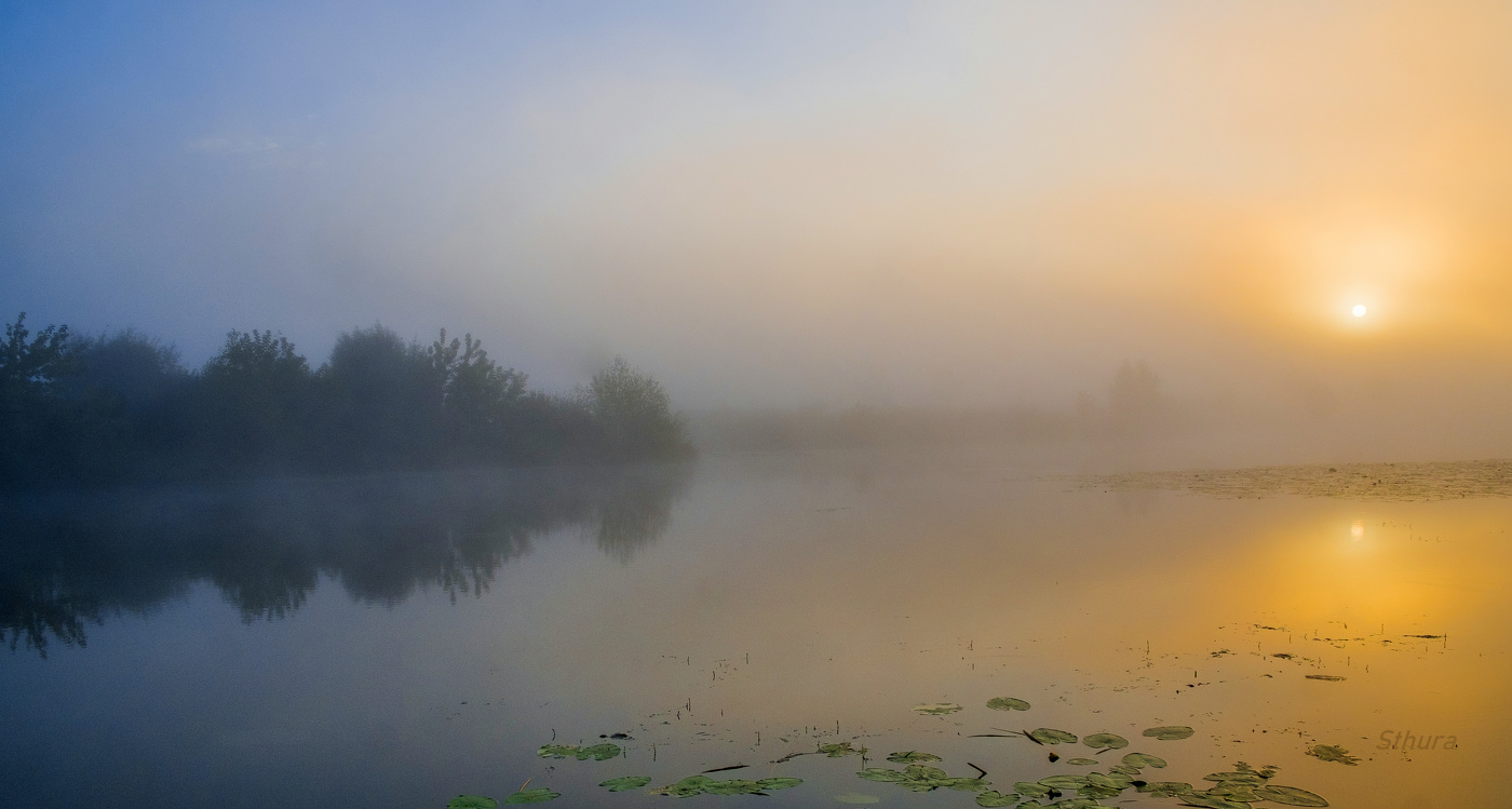 Летнее утро.