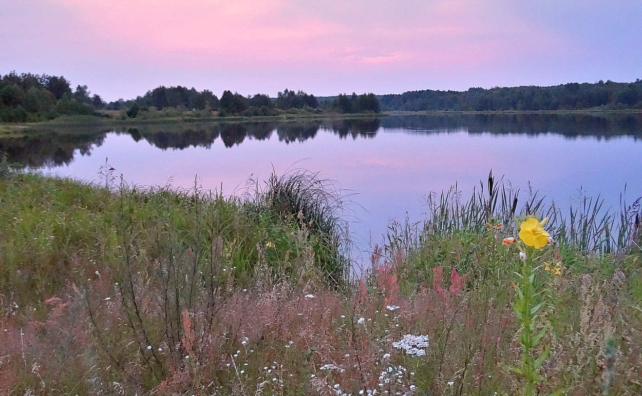 После захода солнца запах разнотравья усилился