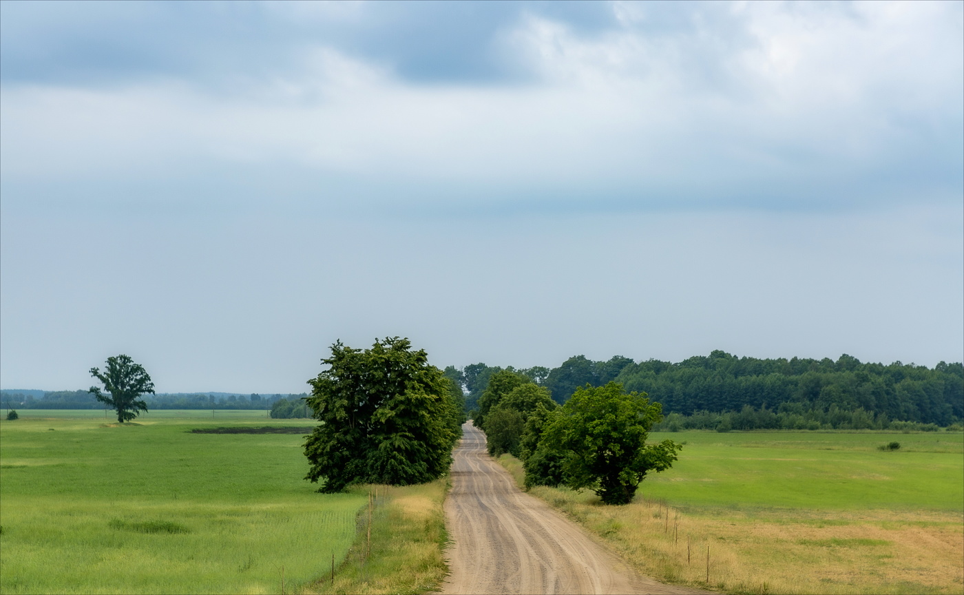 ШЕЛ ЛЕТНИЙ ДОЖДЬ...