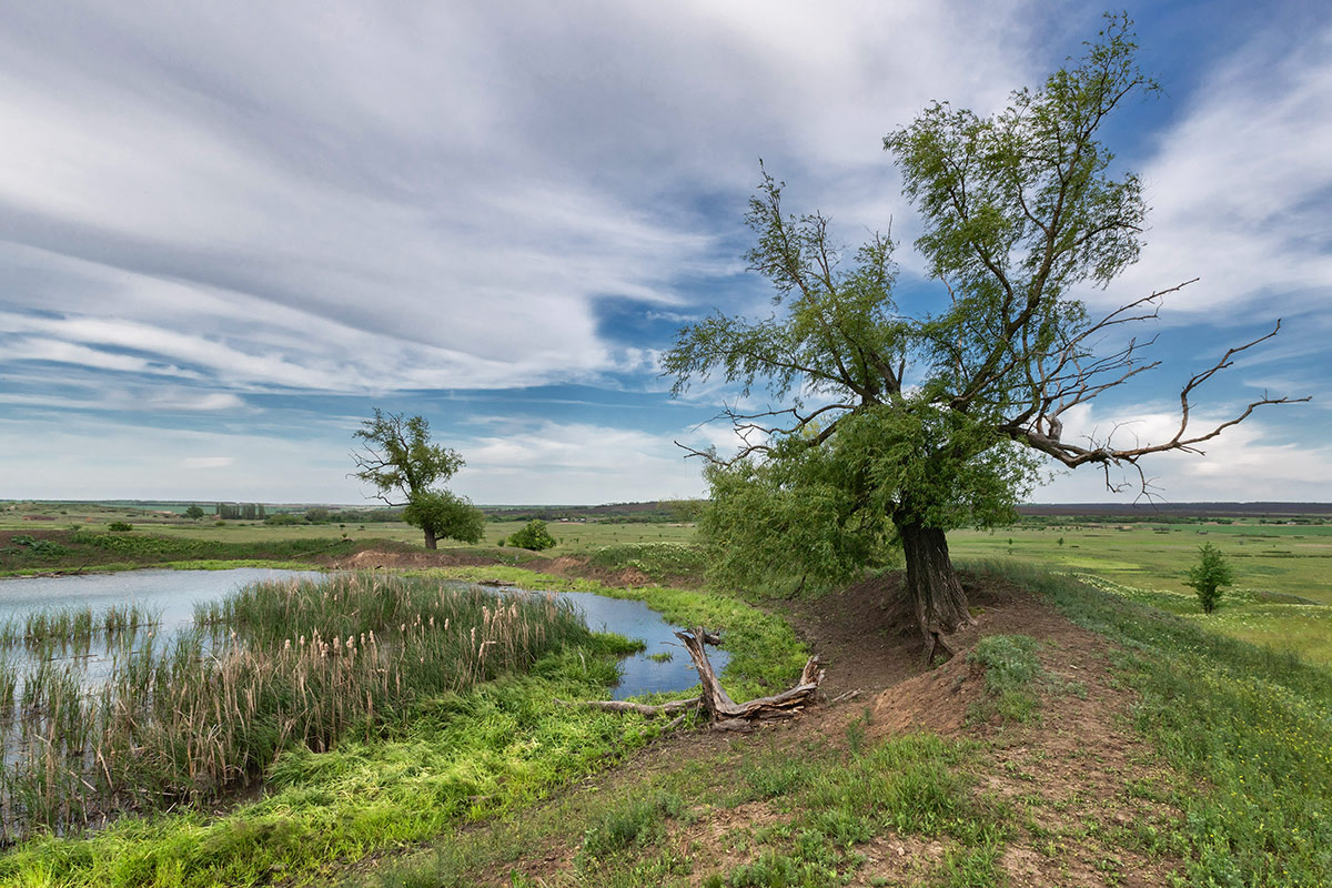У хутора Исаев