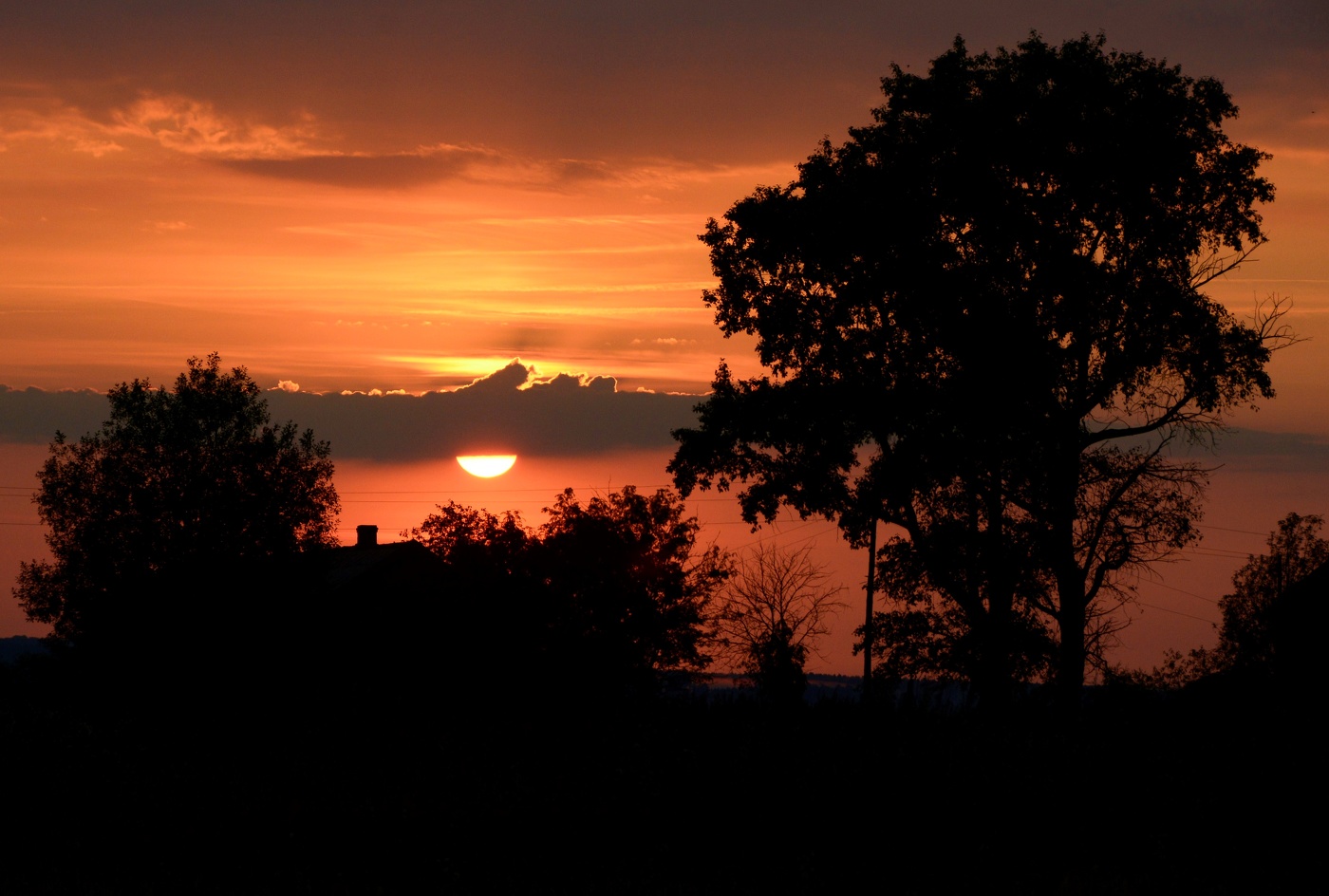 "И опять пришел к нам вечер, в черном смокинге из шерсти..."