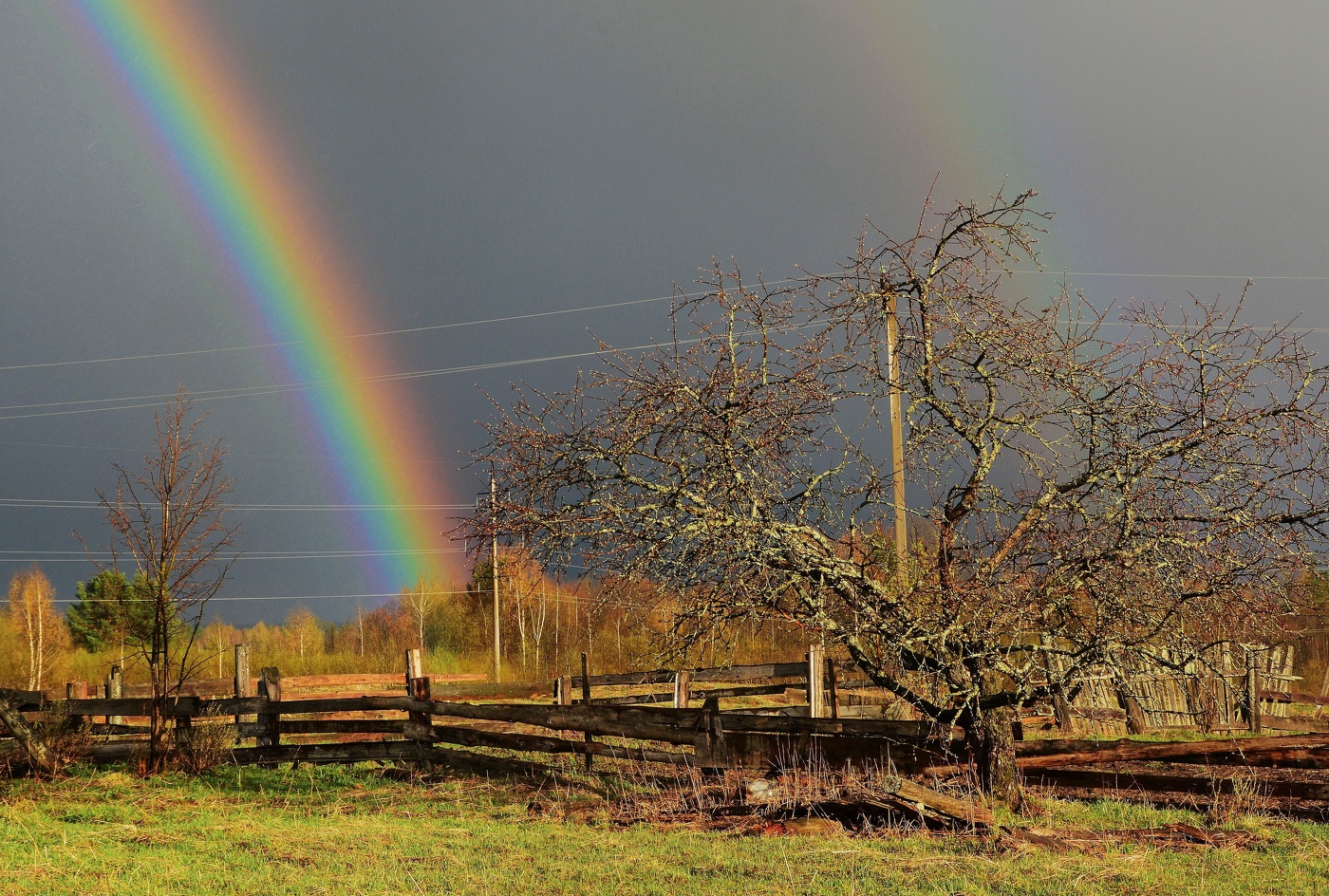 "Замерли грома раскаты ..."