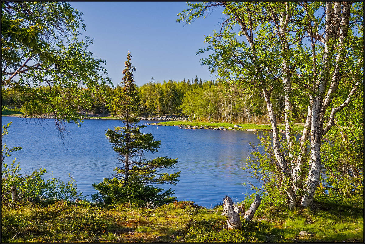 На Соловецких островах.