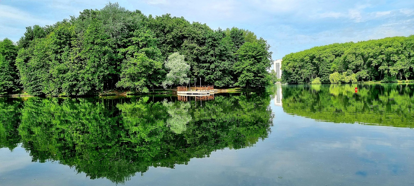 Зеленый июнь...