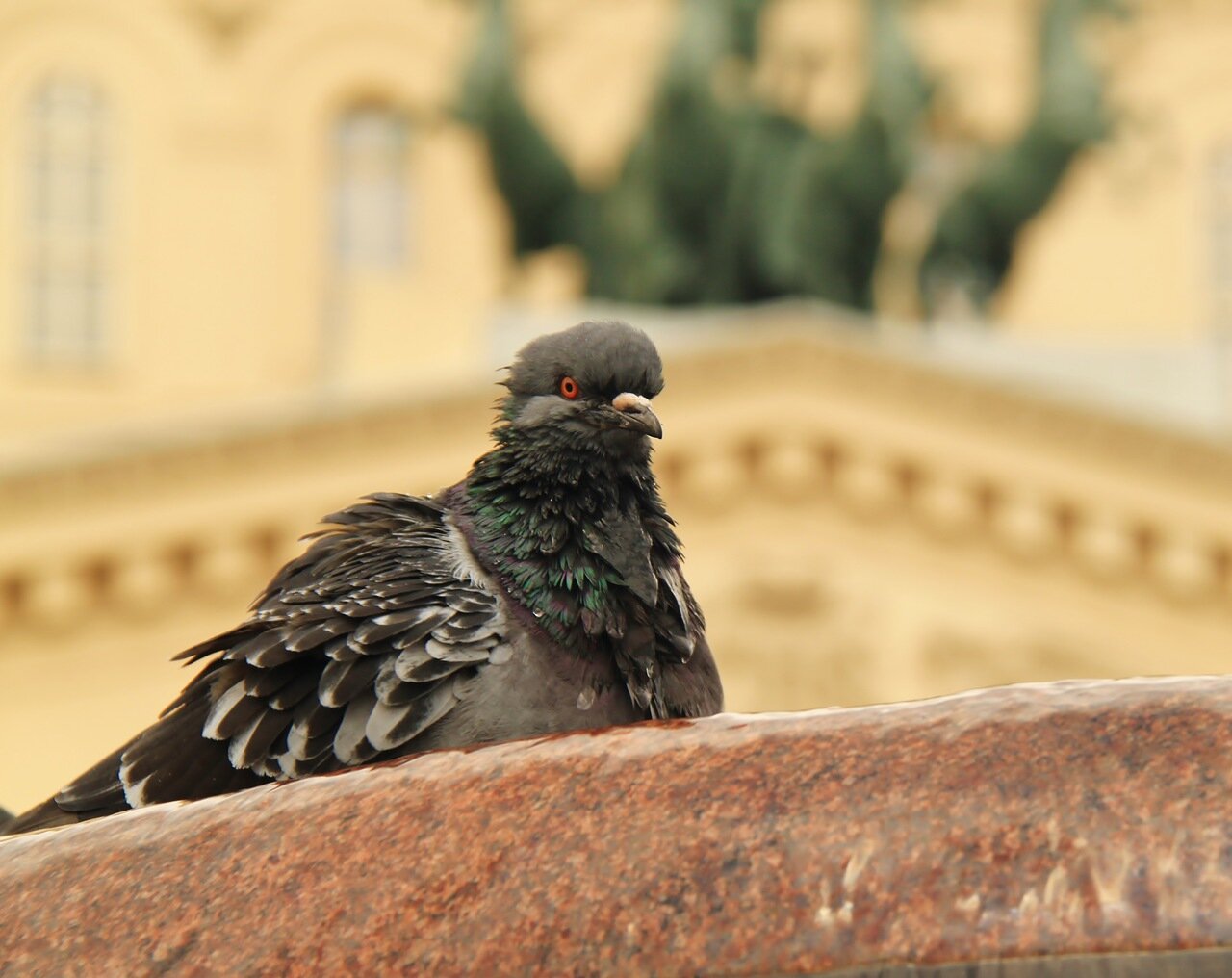 Водные процедуры