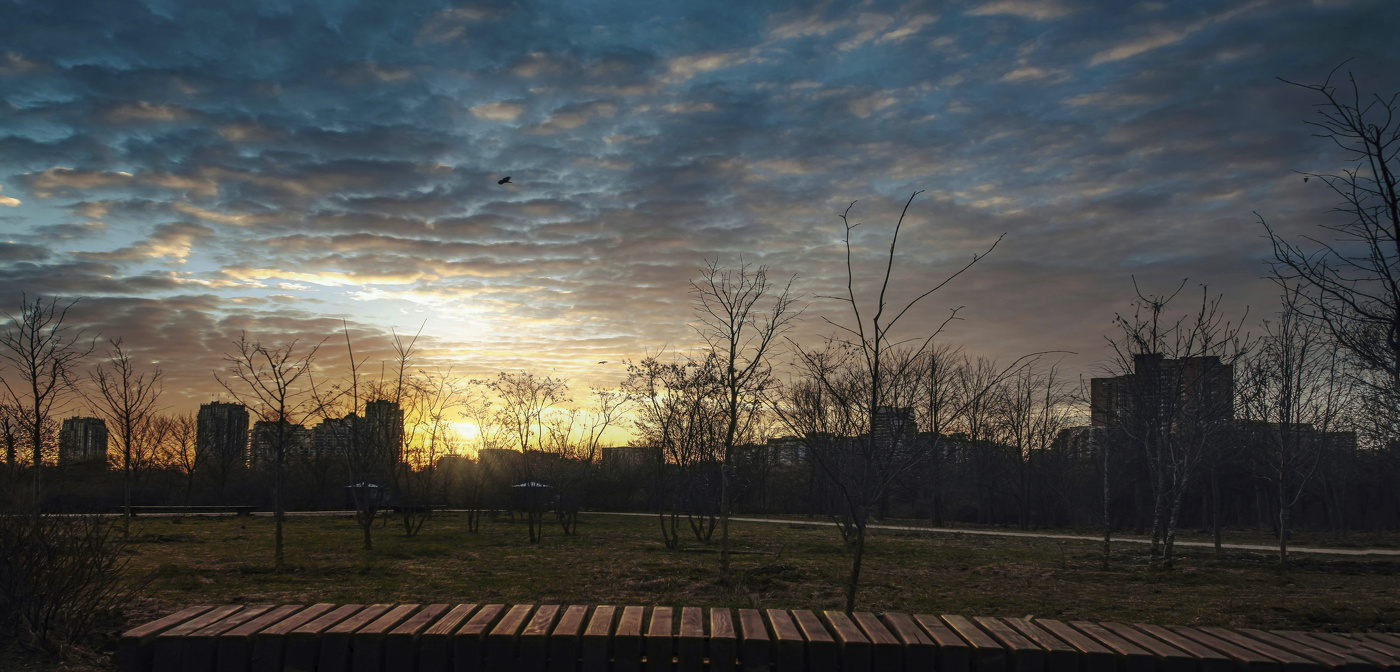 Рассвет в сквере.