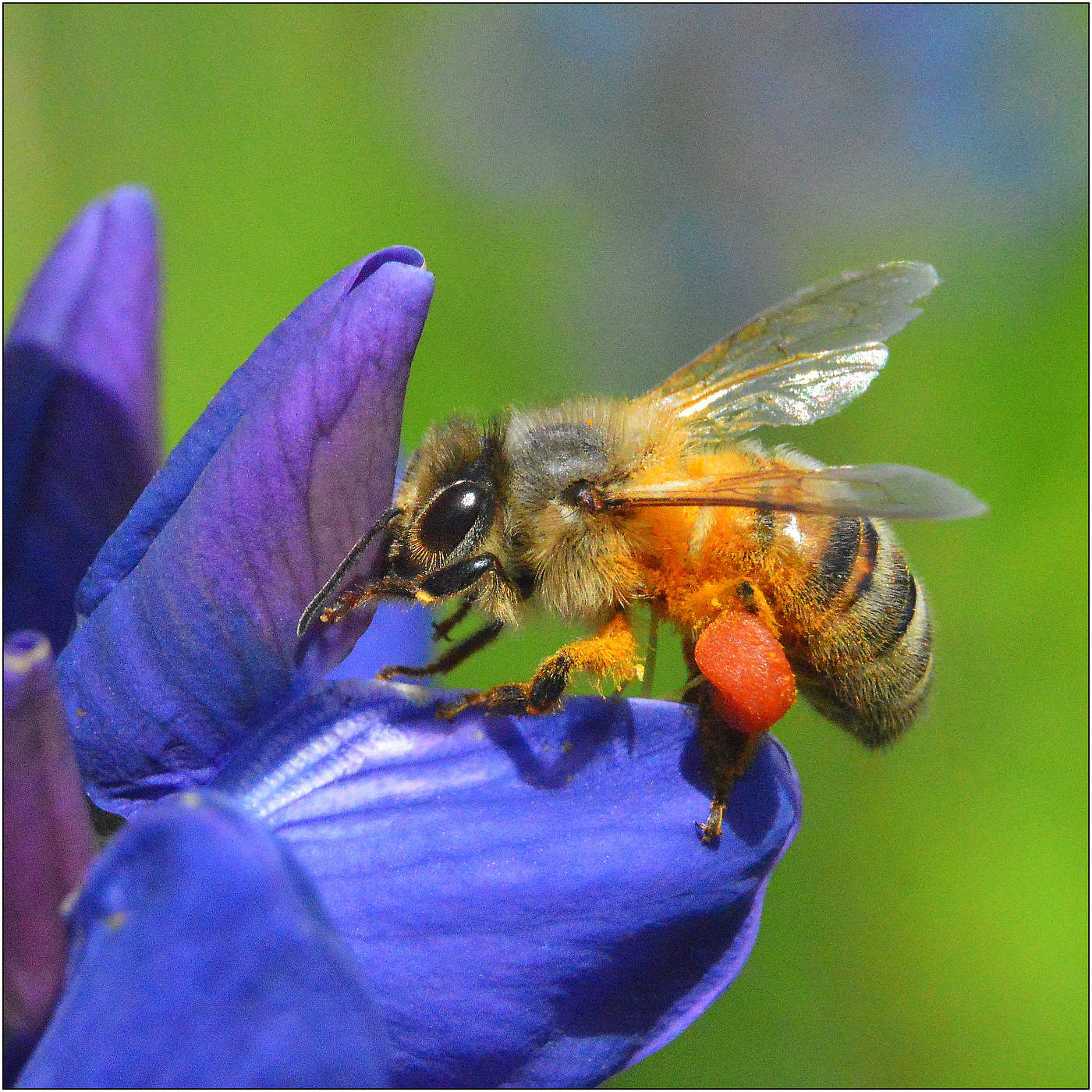 Любопытство.