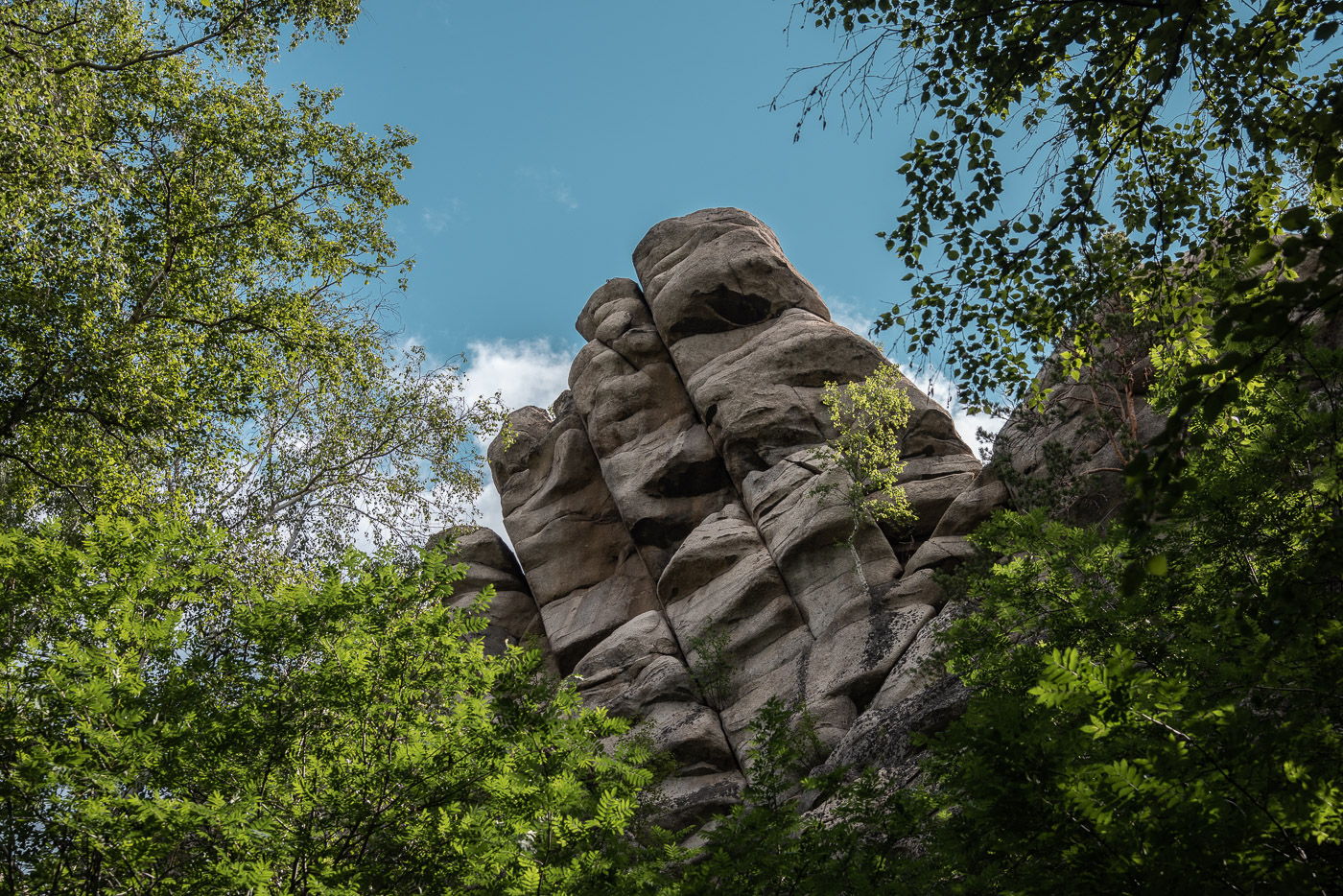 Трое из ларца...