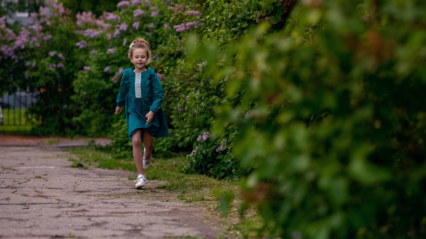 Сиреневый сад