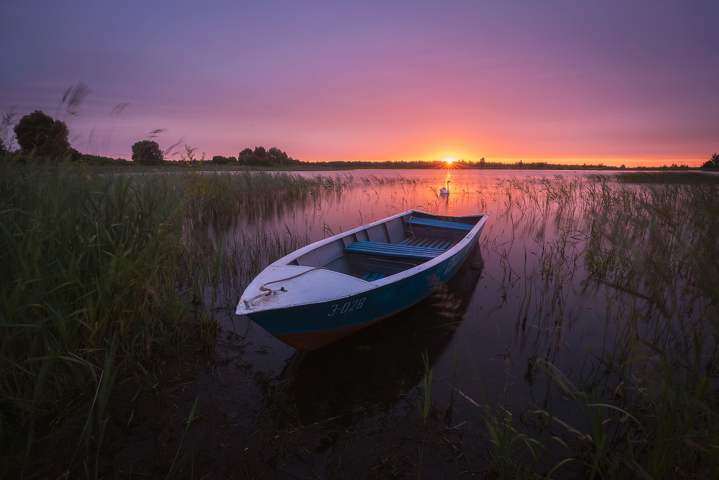После дождя