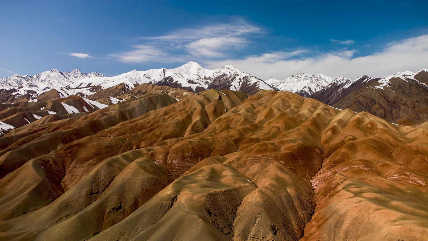 Предгорья Алайского хребта