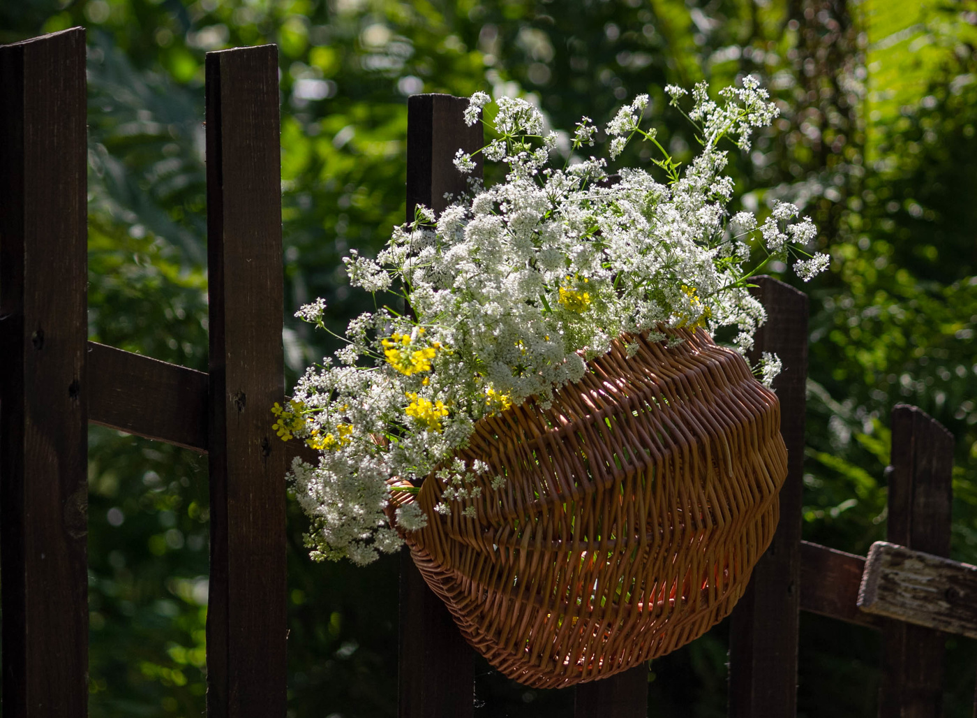 Лето в корзинке