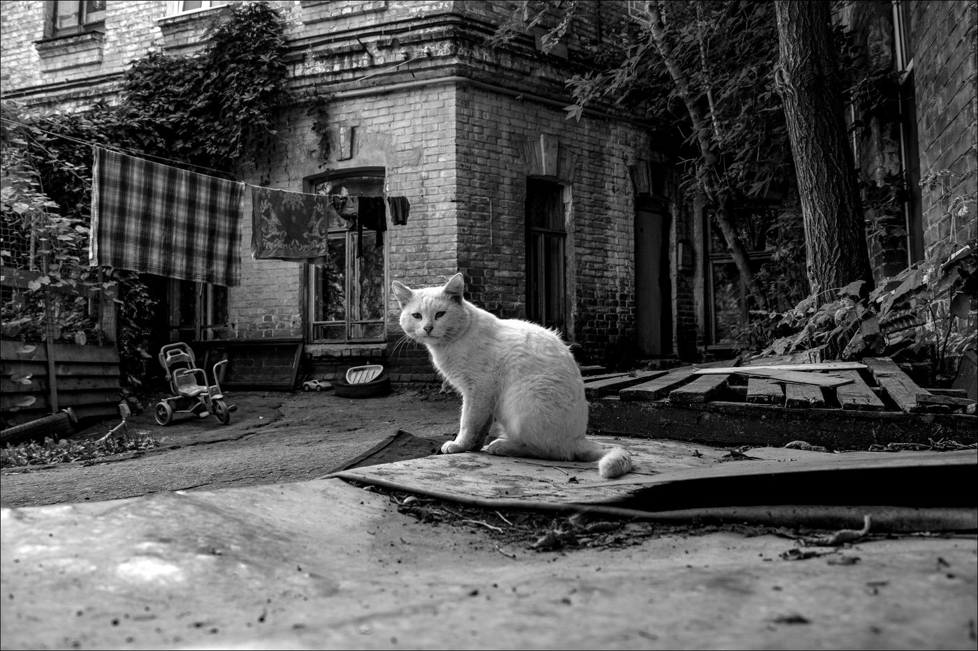 Дворовый смотритель.